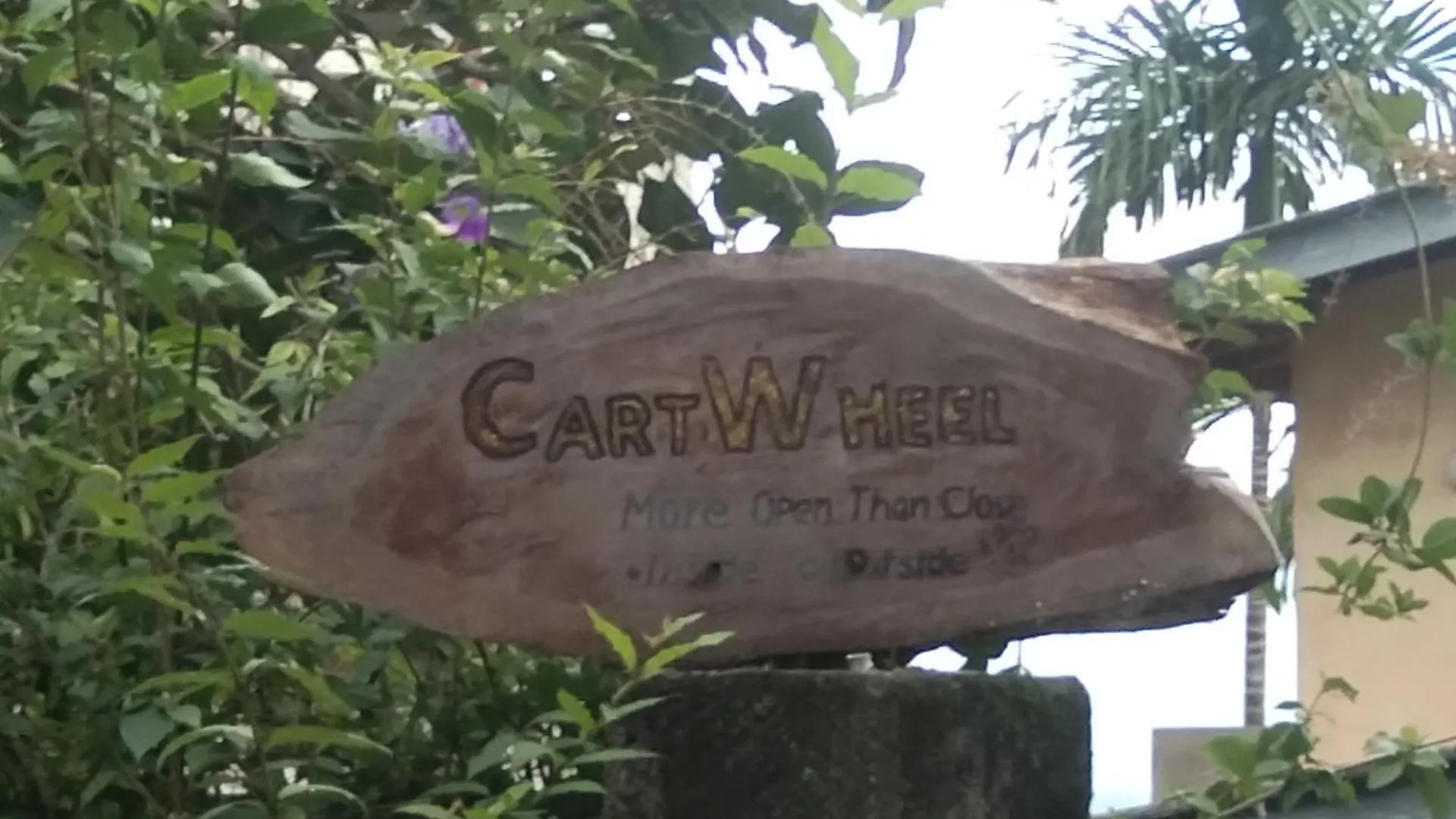 Cartwheel - More Open Than Close Hindagala Sri Lanka